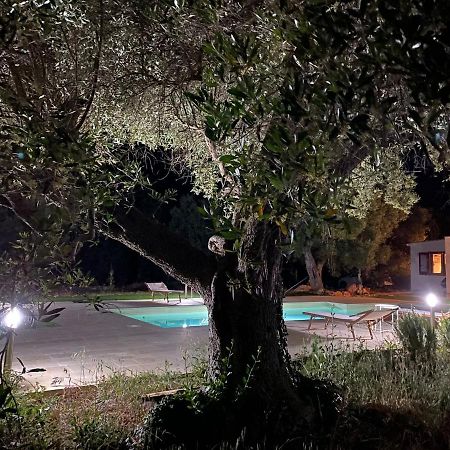 مبيت وإفطار مونوبولي Le Radici المظهر الخارجي الصورة